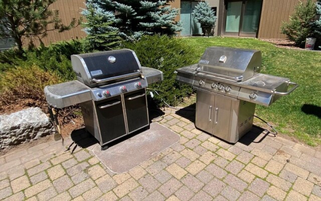 #305 Vail International