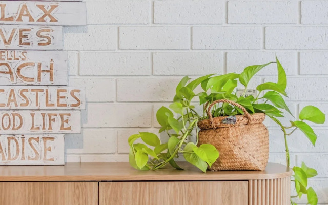 Ultimate Beachside Haven in Cabarita - Pet Friendly