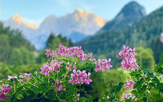 Hotel Kranjska Gora