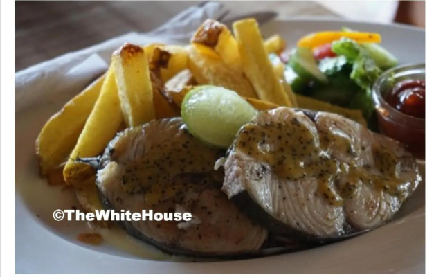 The White House