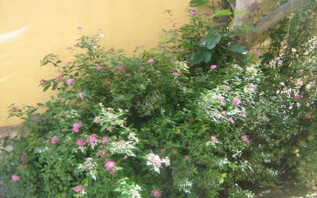 Jacqueline Apartment