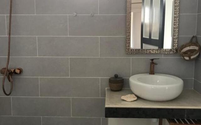 LES ALOÈS By CREYOL ANIMAL