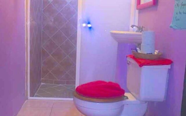 Cozy Big Bungalow Close To Downtown