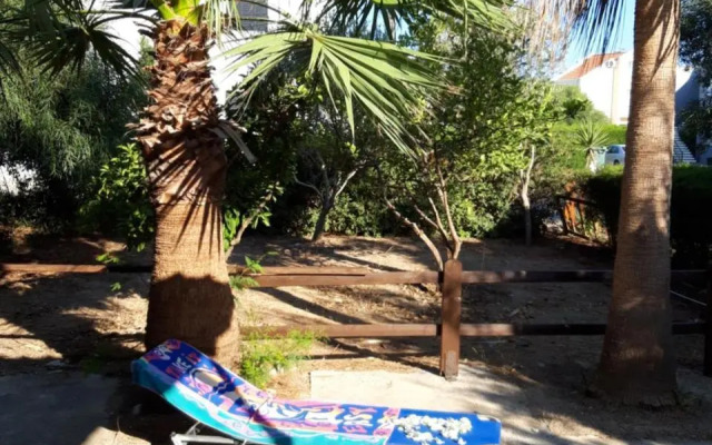Palm garden paradise