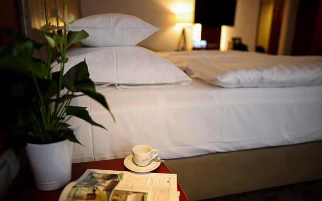 Amedia Linz, Trademark Collection by Wyndham