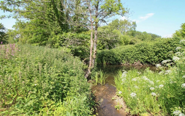 Acres Meadow