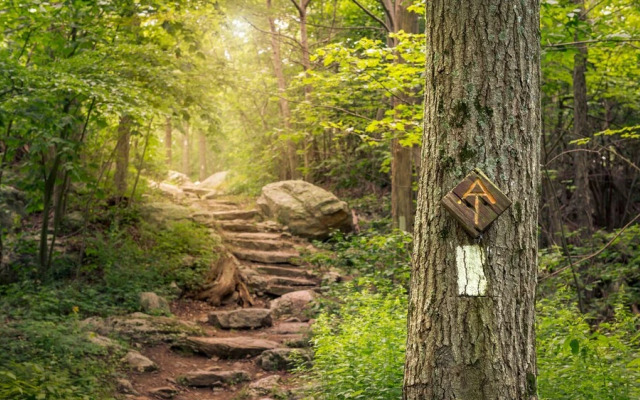 Osceola Mill Dining & Lodging