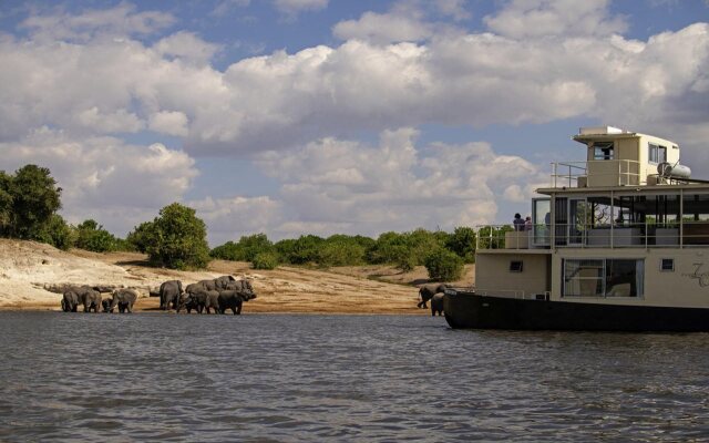 Chobe Princesses by Mantis