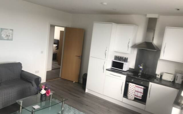 Luxury City Apartment