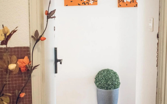 Apto. entero Ciudad Vieja