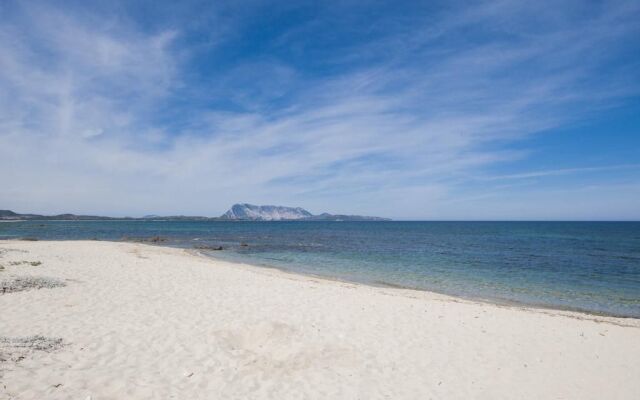 Residence Approdo Verde