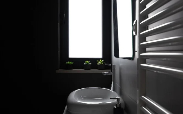 Biscuttela Vicentina