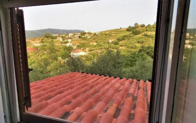 Bellezza In Cilento Panoramic Apts