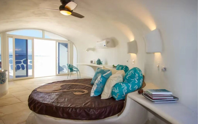 Alterhome Turtle Studio
