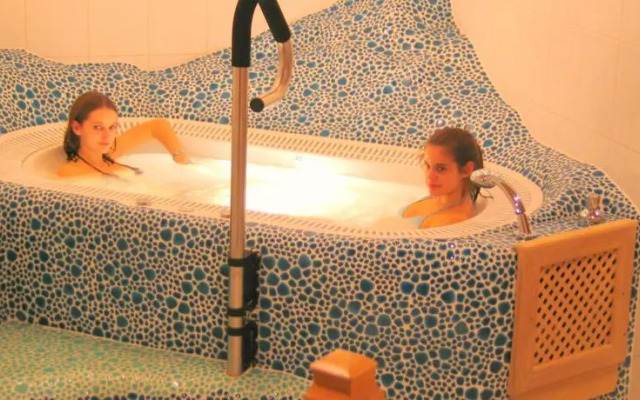 Hotel Traublingerhof