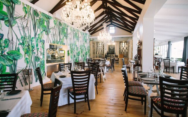 Endless Vineyards at Wildekrans Wine Estate