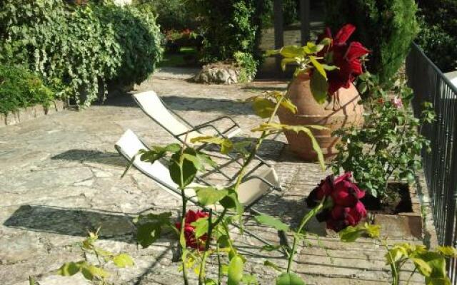 Campo Agli Olivi