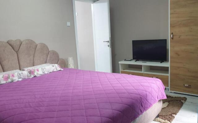 Apartment stan na dan Nis 2