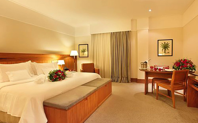 Royal Palm Plaza Resort Campinas