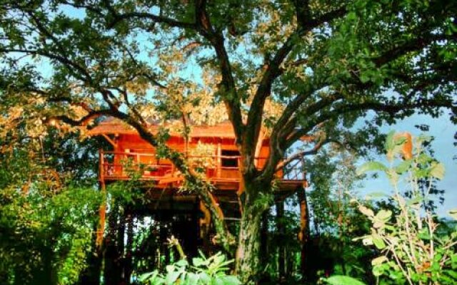 1 BHK Tree house in Bandhavgarh National Park, Umaria, by GuestHouser (6C62)