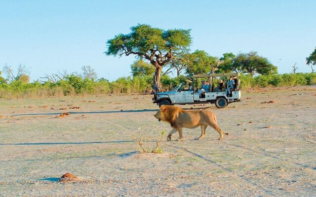 Savute Safari Lodge