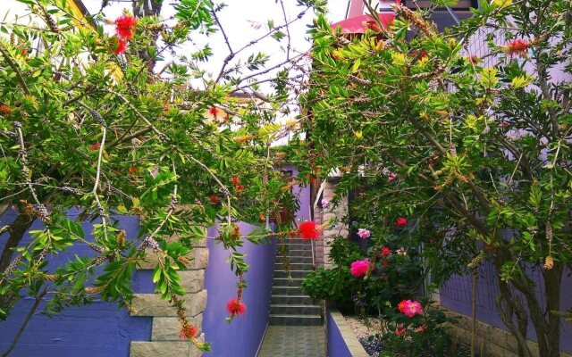 ApartHotel Viola