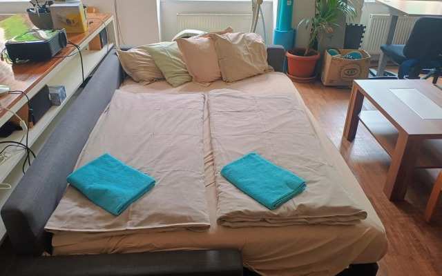 Park View - a digital Nomad's dream