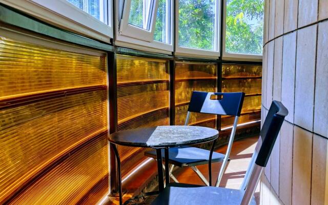 Ракушка Анапа