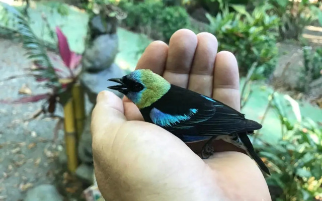 Palapa Hut Hostel & Camping