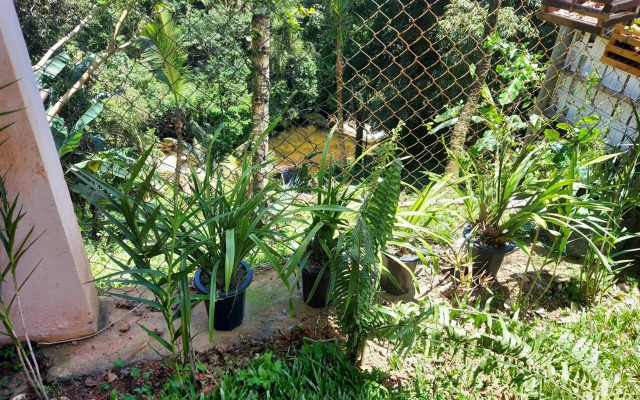 Parque da cachoeira chale 1