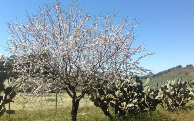 Romantica Casetta con Vista