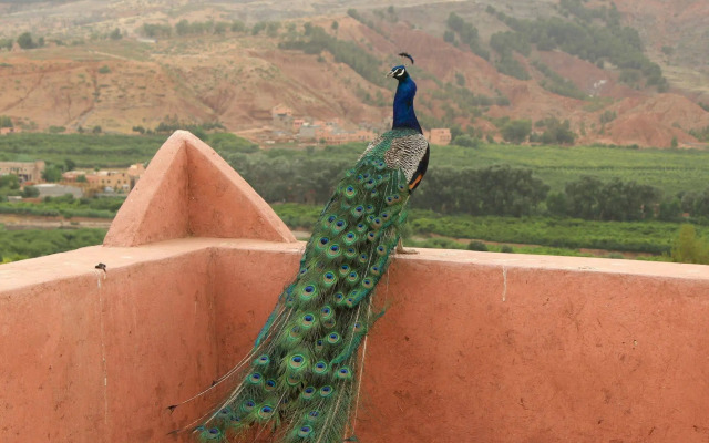 Riad Aslda