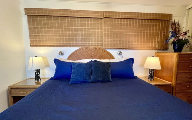 Kona Mansions Ocean Views & Amenities!