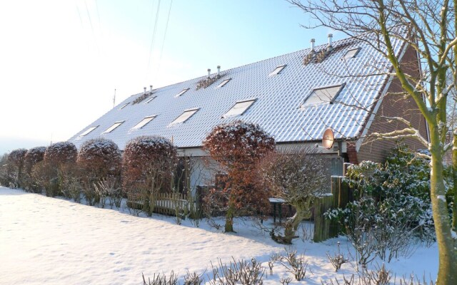 Koralle Norden in Norden