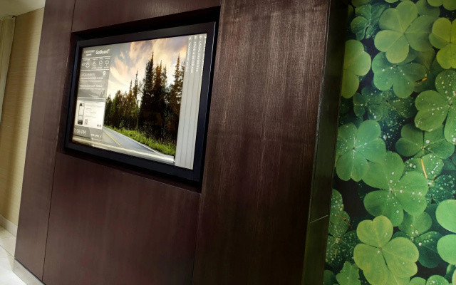 Courtyard by Marriott Detroit Brighton