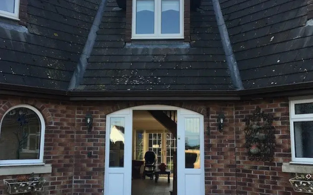 The Meadows B&B