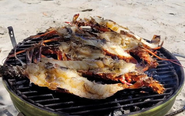 Villa Independante Magnifique Vue Mer Des Caraibes