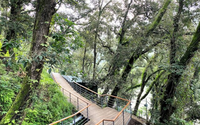 Rosefinch Sarovar Portico Bhimtal