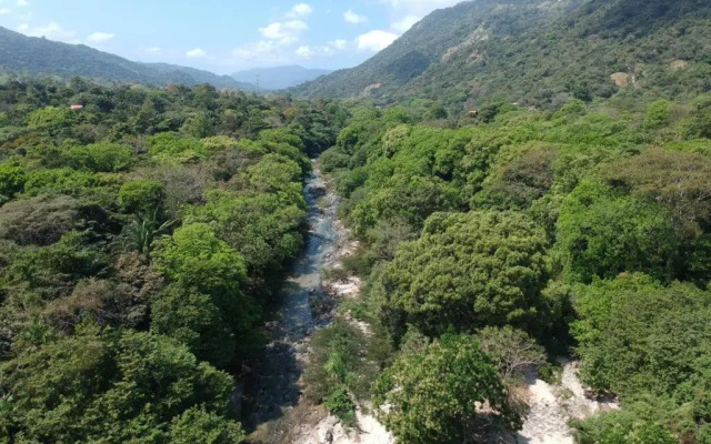 Tayrona Deep Forest Posadas
