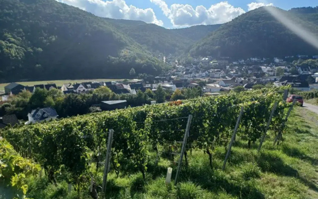 Jagdhaus Rech -Der Wildspezialist-