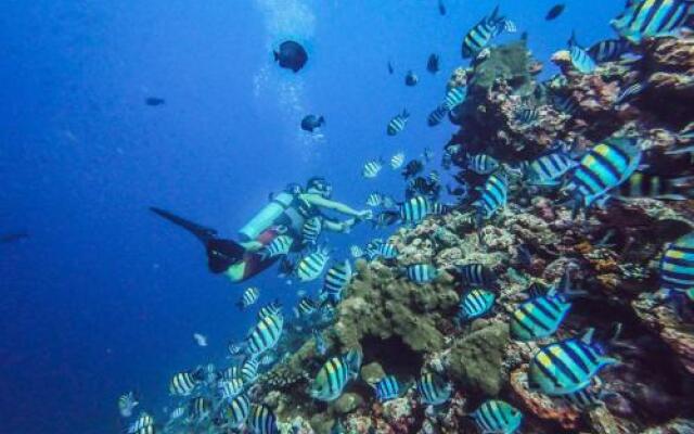 Dpm Gili T Diving Hostel & Bar