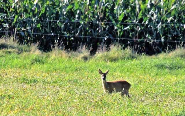 Westerheide Modern Retreat
