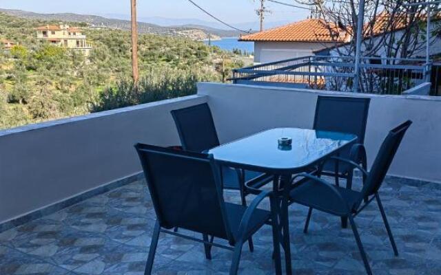 Mimosa House
