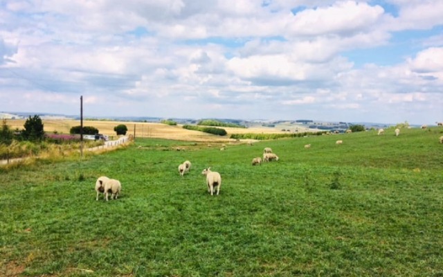 Arbor Low
