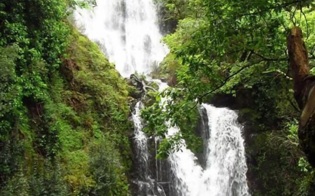 Residencial Martinho