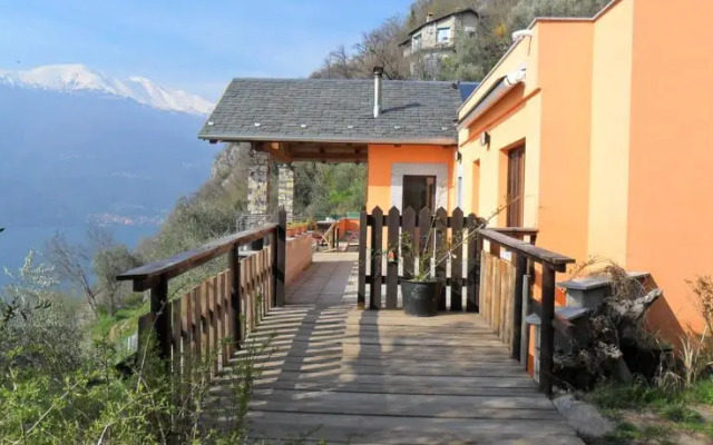 Exclusive Villa Olives Tree