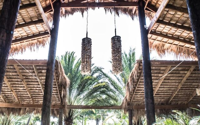 Coconut Paradise Beach Hotel