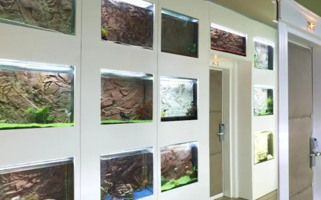 Platinum Royal Suite