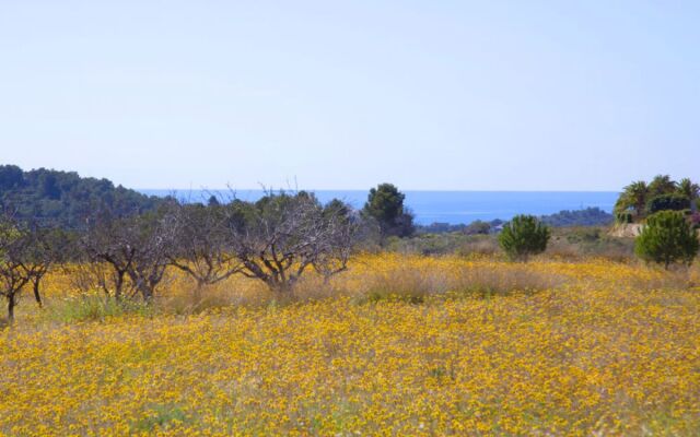 House Vicent Benissa