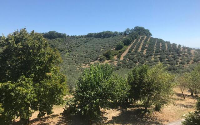 L'Oleandro